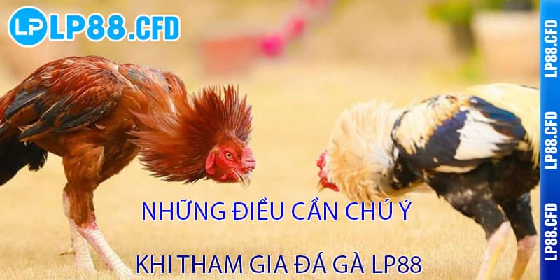 Đá Gà LP88 - Cược thật, thắng lớn, đam mê bùng cháy - Tacivo Đá Gà LP88 - Cược thật, thắng lớn, đam mê bùng cháy - Tacivo
