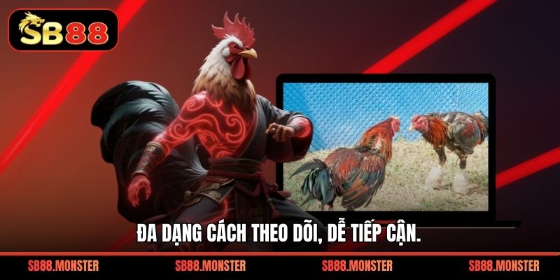 Sảnh Đá Gà SB88 - Trực Tiếp Kịch Tính Ưa Chuộng - Tacivo