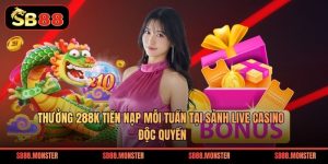 Khuyến Mãi Sb88 – Tổng Hợp Ưu Đãi Hấp Dẫn Cho Người Chơi - Tacivo