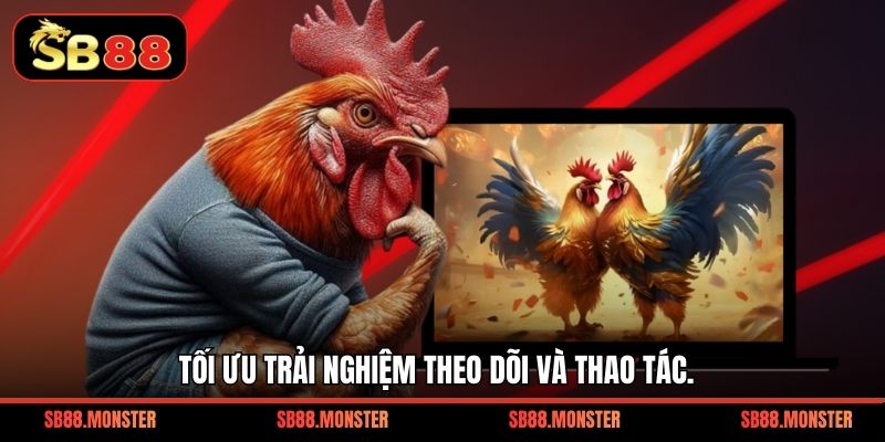 Sảnh Đá Gà SB88 - Trực Tiếp Kịch Tính Ưa Chuộng - Tacivo