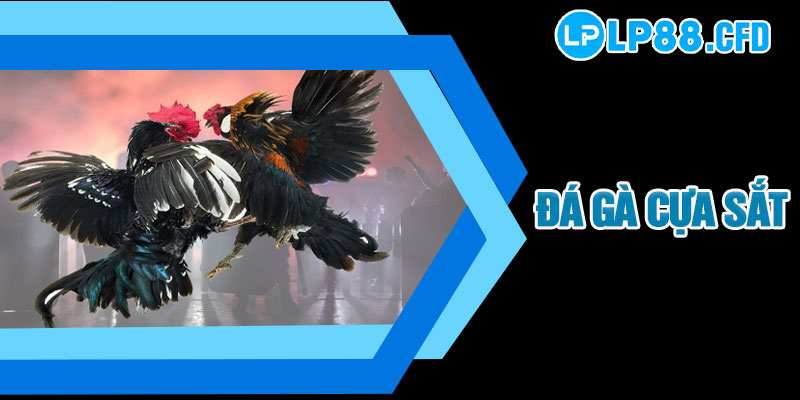 BLOG CƯỢC - lp88 - Tacivo